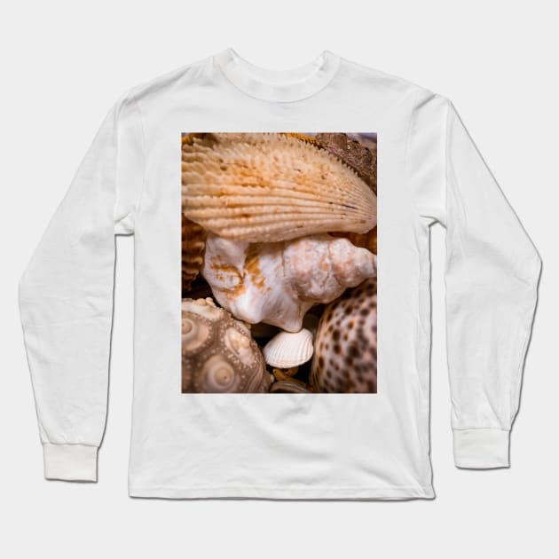 Sea Shells Nature Beach Long Sleeve T-Shirt by eleonoraingrid